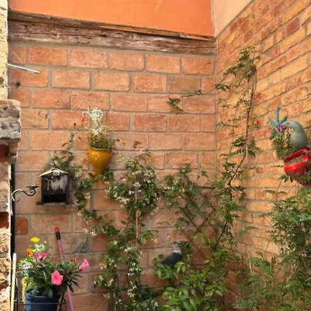 Veneziano Piano Terra